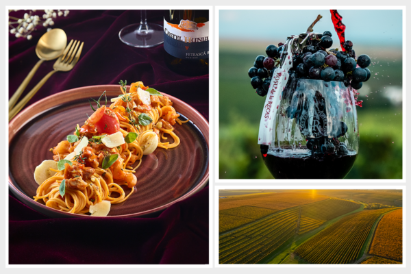 TRANSAVIA inițiază, alături de reputate mărci românești, programul ...