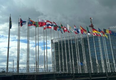 Alegerile europene: instituțiile UE sunt pregătite să combată dezinformarea