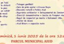 Ziua Copilului va fi sărbătorită la Aiud în Parcul Municipal