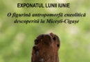 O FIGURINĂ ANTROPOMORFĂ ENEOLITICĂ DESCOPERITĂ LA MICEȘTI-CIGAȘE. Exponatul lunii iunie la Muzeul Național al Unirii