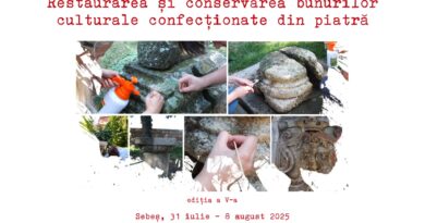 APEL PENTRU ÎNSCRIEREA LA WORKSHOP-UL „RESTAURAREA ȘI CONSERVAREA BUNURILOR CULTURALE CONFECȚIONATE DIN PIATRĂ”, EDIȚIA A V-A, SEBEȘ, 31 IULIE – 8 AUGUST 2025