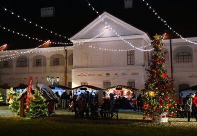 Pe 5 decembrie începe CRĂCIUN LA PALAT! Narcisa Suciu, Hara, Gino și Theotokos, printre artiștii care urcă pe scena târgului de la Palatul Principilor