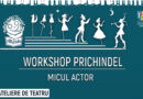 Teatrul de Păpuși dă startul programului Workshop Prichindel
