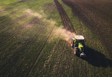 Apel Agricover: Romania nu poate construi securitate alimentara cu  ferme care doar supravietuiesc