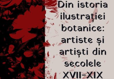 Muzeul Unirii din Alba Iulia orgainzează activități în cadrul Târgului Grădinarului