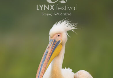 10 filme documentare despre natură, prezentate în premieră la LYNX festival!