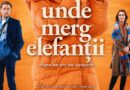 Festivalul „Armonii în Sebeș”. Filmul Gabrielei Suciu, „UNDE MERG ELEFANȚII”, va fi proiectat la Sebeș