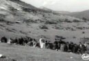 Târgul din Teiuș, locul unde acum 66 ani s-au filmat scene din filmul ”Setea”, va fi transformat cu fonduri europene intr-un parc urban modern