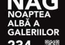 Noaptea Albă a Galeriilor deschide pentru public porțile spațiilor expoziționale din Alba Iulia. Vezi ce poți sa vizitezi în week-endul 2-4 octombrie