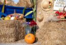Apulum Agraria – O sărbătoare a satului românesc, a roadelor toamnei și a oamenilor care păstrează vie legătura cu pământul