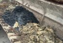 Apa CTTA. Operațiuni de curățare și spălare a rețelei de canalizare de pe strada Luceafărului